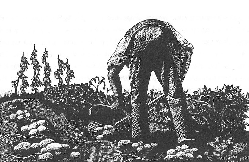 wood engraving by Claire Leighton, courtesy of the artist's estate
