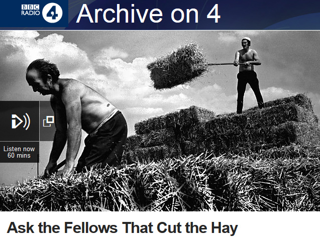 fellows-hay